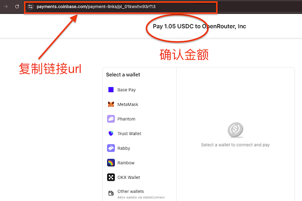 复制 Coinbase 支付链接 URL,回到 ROZO 粘贴并确认支付金额